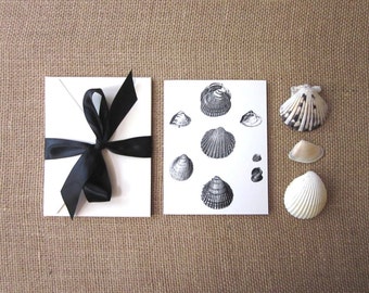 Shell Note Cards Set of 10 with Matching Envelopes