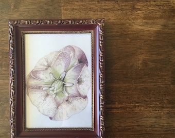 Watercolor Yucca Flower