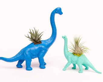 Dinosaur Toy Planter with Succulent or Airplant