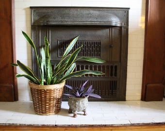 A Wicker Basket Planter
