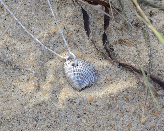 Pure Silver Shell Necklace
