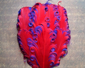 Red on Purple Curled Goose Feather Pad