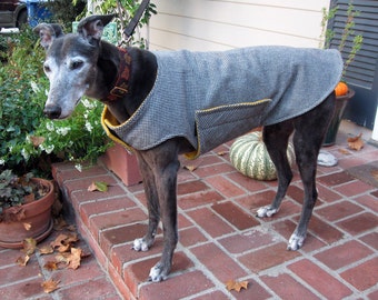 Greyhound Dog Coat, XL Jacket, Black and White Cotton Flannel Houndstooth with Gold Fleece Lining