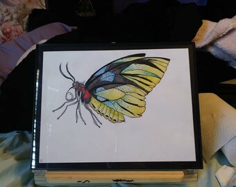 9x12 in 10x13 frame, original birdwing butterfly