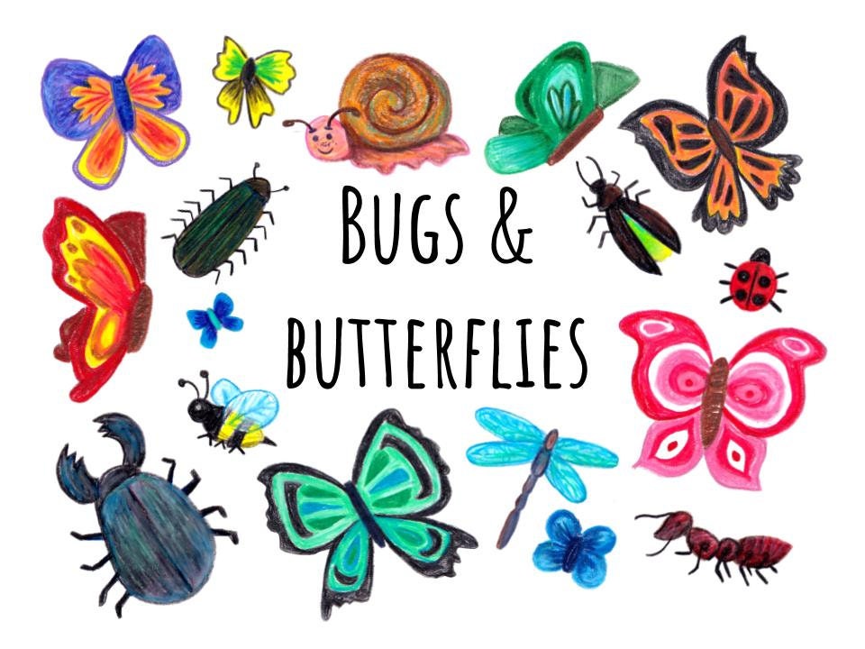 Bugs and Butterflies Clip Art, hand drawn clipart, hand ...