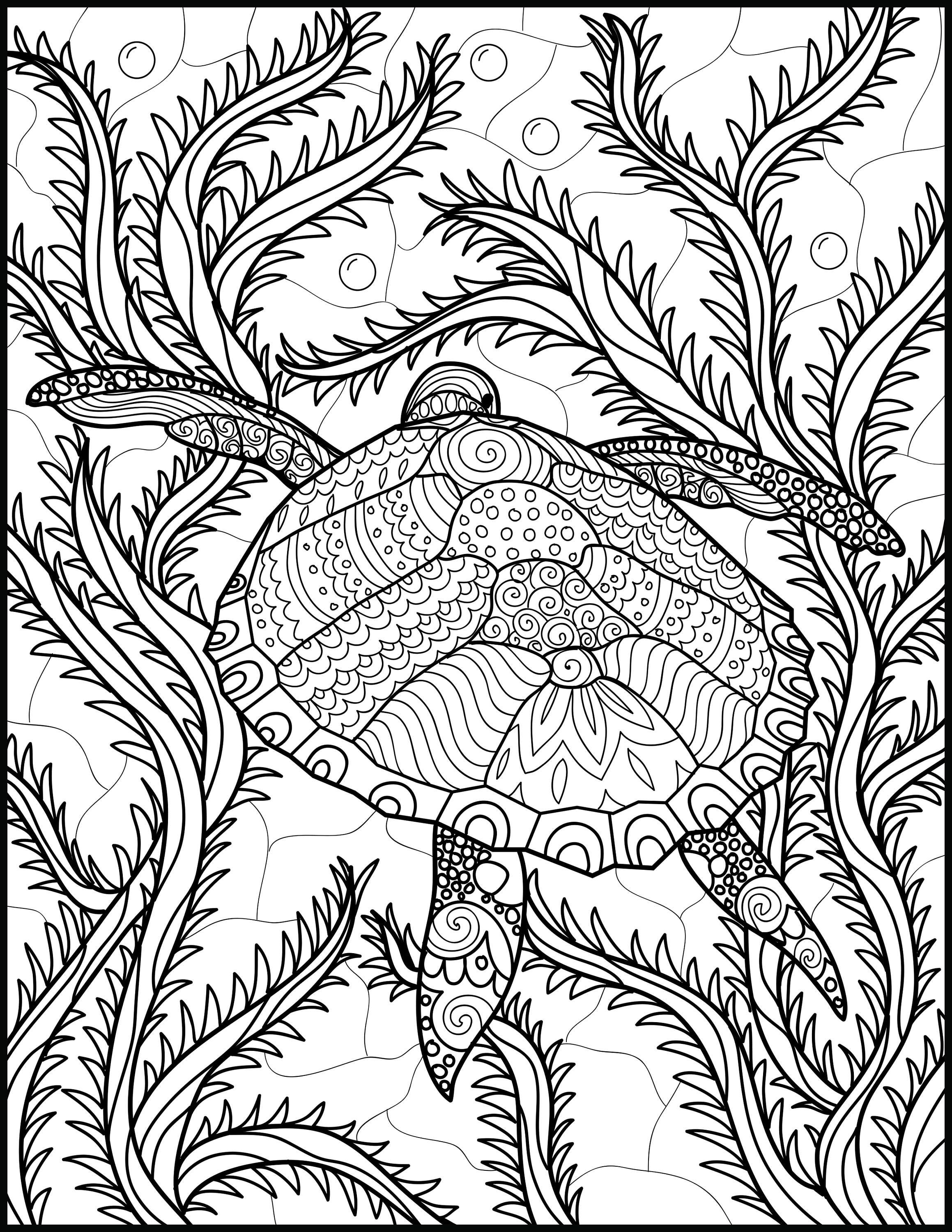 Download 2 Adult Coloring Pages Animal Coloring Page Printable