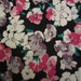 Floral Cranston Print