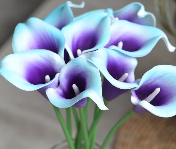 10 Aqua Blue Purple Picasso Calla Lilies Real Touch Flowers