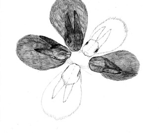 Incomplete bunny star ORIGINAL artwork ink drawing on paper 8 x 8
