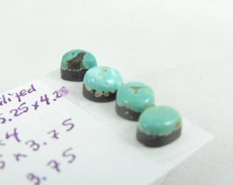 Tyrone stabilized turquoise cabochons