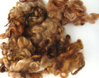 Brown Sheep Locks - Sheep Curls - Waldorf - Spinning Wool Curls - Leicester Lamb - 1/2oz