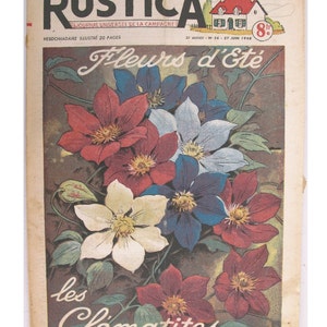 1948, French review, RUSTICA, Clematis, summer flowers, antique French flower illustration, Dahlias