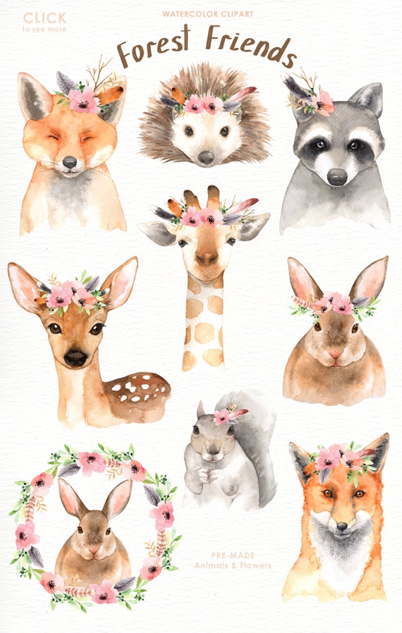 Forest Friends Watercolor Clip Art,Woodland Animals, Kids ...