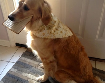 Passover Dog Bandana Matzah