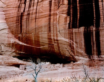 Canyon de Chelly - White House cliff dwellings.
