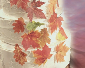 Edible Cake Topper 20 Mixed Fall Leaves and Monarch Butterfly