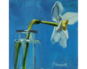 Single Daffodil in a Square Glass Vase