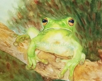 Green Frog 3.5x5 Blank Notecard with Envelope