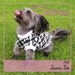 Dog T-Shirt SIZE 4 Jasra Pet Jumper PDF Sewing Pattern|Digital Download|Dog Top Sewing Patterns|Sewing Pattern|Pet Clothes|Digital