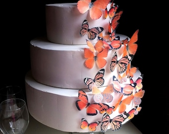 Edible Butterfly Cake Decoration - Assorted Orange - Edible Butterfly Cupcake Topper