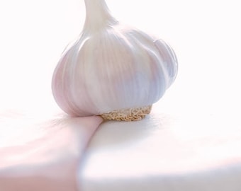 Pink garlic (Food photo fine art)