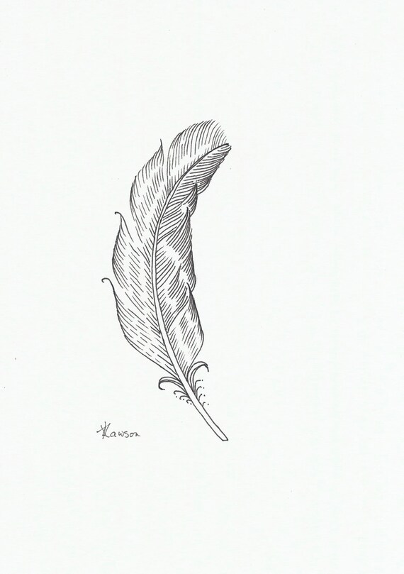 Small ink feather original drawing