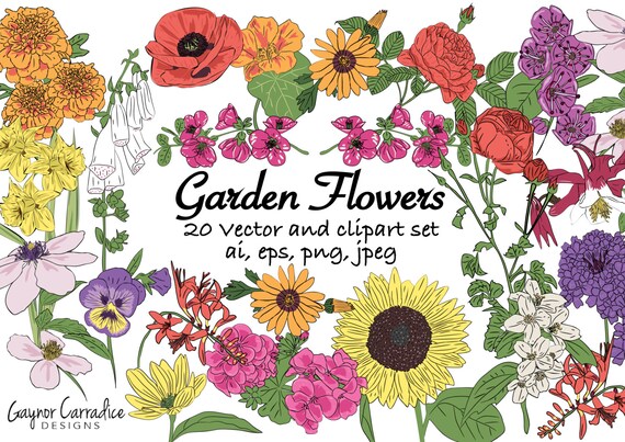 Flower clipart, flower clip art, garden flowers clipart, flower vectors
