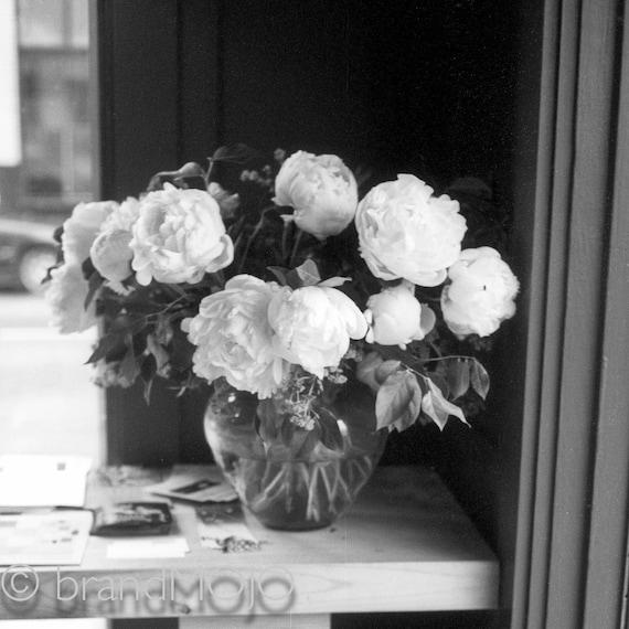 Bouquet flowers photography roses blooms peonies vase black Bouquet flowers photography roses blooms peonies vase black
