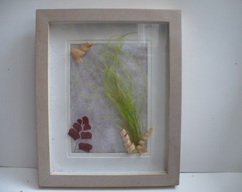 Green frame under glass 21 x 26