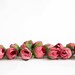 15 Mini Ranunculus Buds in Darker Pink - silk artificial flower, millinery flower - ITEM 01232