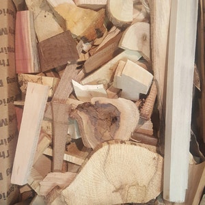 Box of assorted wood chunks from variety of tree species | craft log slice chips | various wood scrap pieces DIY garland wooden art project