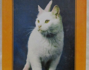 Arthur the Television Cat by John Montgomery. Hardcover with Dust Jacket. 1975 Edition. Fletcher & Sons Great Britain.