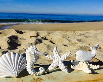 Nautical Drawer Knobs / Nautical Door Knobs / Seashell Knob / Starfish Knob/ Whale Knob/ Seahorse Knob
