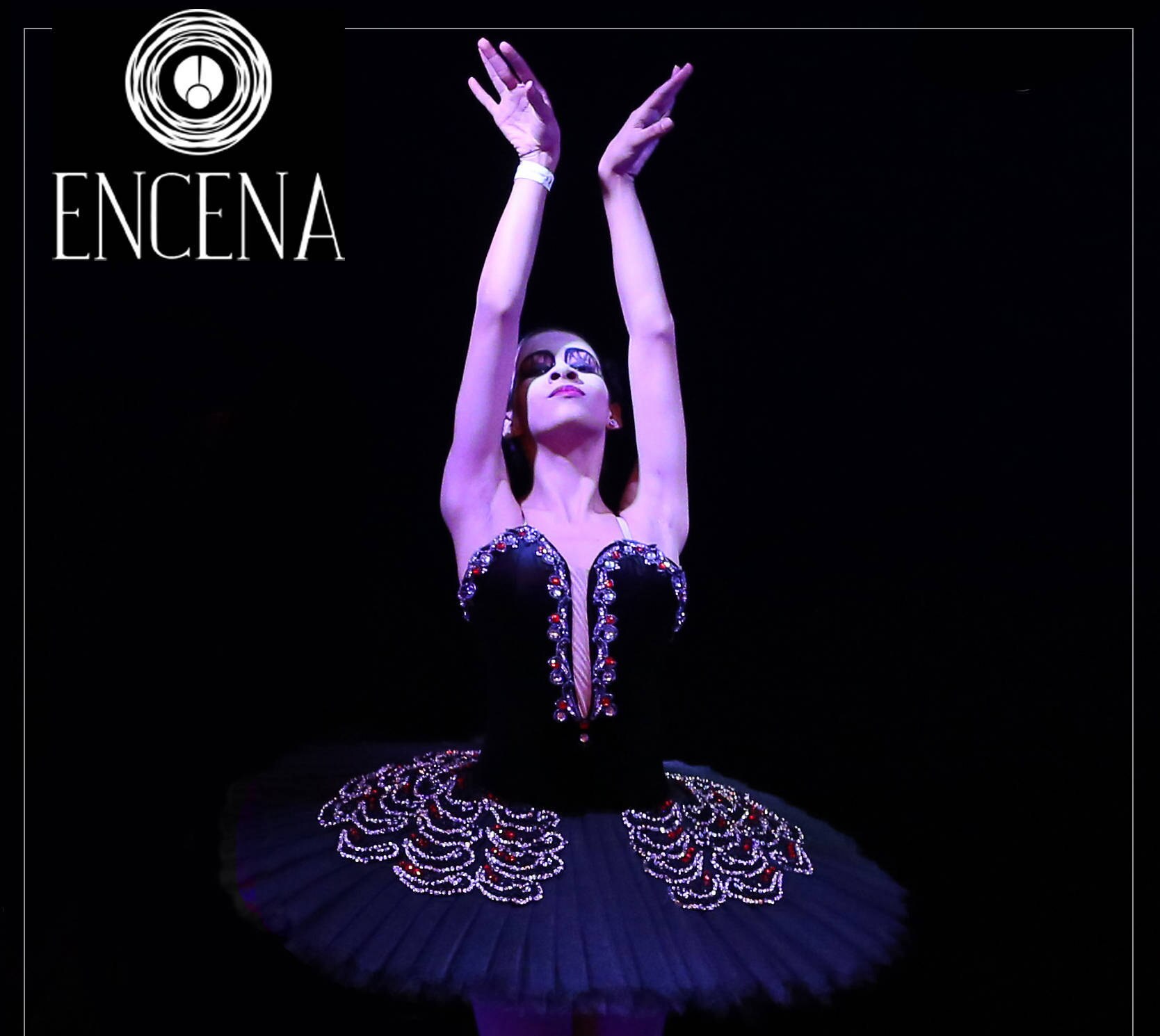 Black Swan professional Ballet Tutu