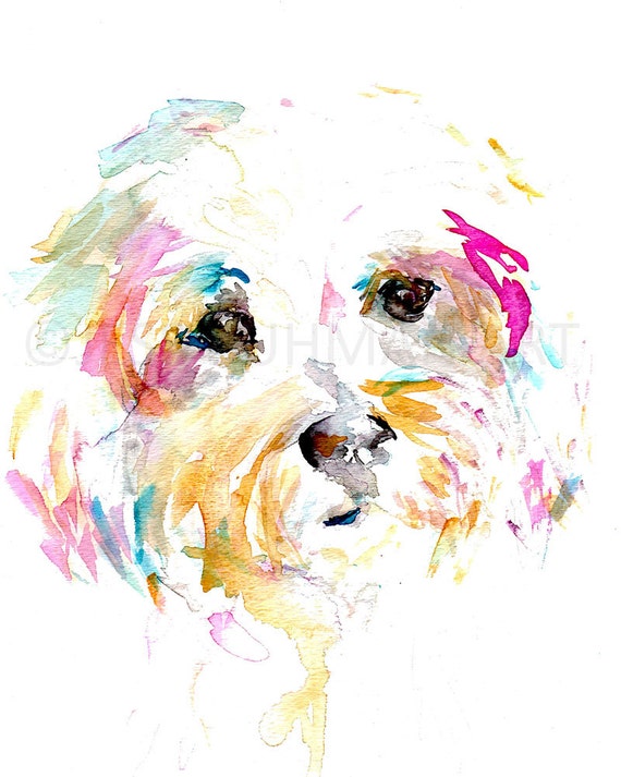 Dog Watercolor Painting Terrier Watercolor Painting Maltese Dog Watercolor Painting Terrier Watercolor Painting Maltese