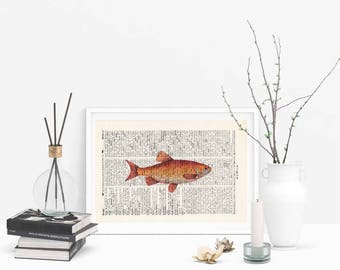 Pressure GOLDFISH - antique book page - landscape