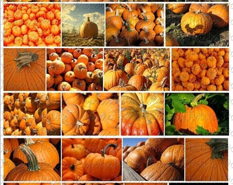 Pumpkin Harvest Digital Download Collage Sheet