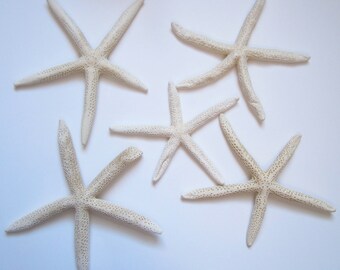 10 Damaged/Imperfect Penciled Starfish-4-7"-Starfish Bulk-Pencil White Starfish-Finger Starfish-White Starfish-Crafting Supplies-Starfish