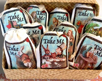 TAKE ME Alice in Wonderland Party Favor Bags 3x5 | 4x6 | 6x8 | 10 Color Designs | Bridal Baby Shower Mad Hatter Tea | Birthday 15 Favor Bags