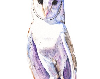 Barn Owl print of watercolor painting, A4 size, BO13116, Barn Owl watercolor painting, bird watercolor painting print