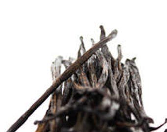 Vanilla Beans Bourbon by Slofoodgroup Vanilla Planifolia Vanilla Bean Products (Various sizes available)