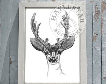 Deer / Stag Signed Original Print