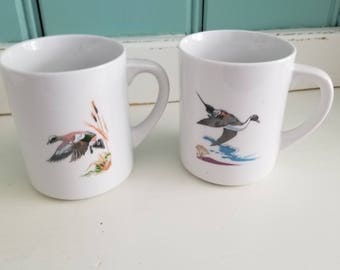 Bird Mugs by Ned Smith, American Widgeon, Pintail