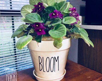Rae Dunn Inspired Bloom Decal, Rae Dunn Large Planter Decal, Rae Dunn Planter Decal, Rae Dunn Bloom, Rae Dunn Planter, Rae Dunn Decals