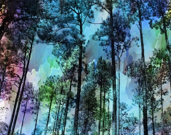 Georgia Pines