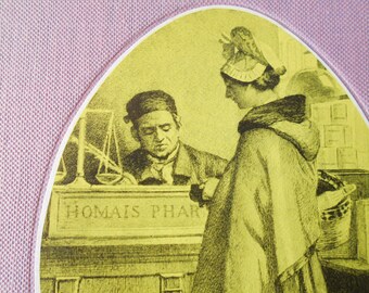 Madame Bovary French 1959 edition of Flauberts novel, French classic literature. Illustrated novel.