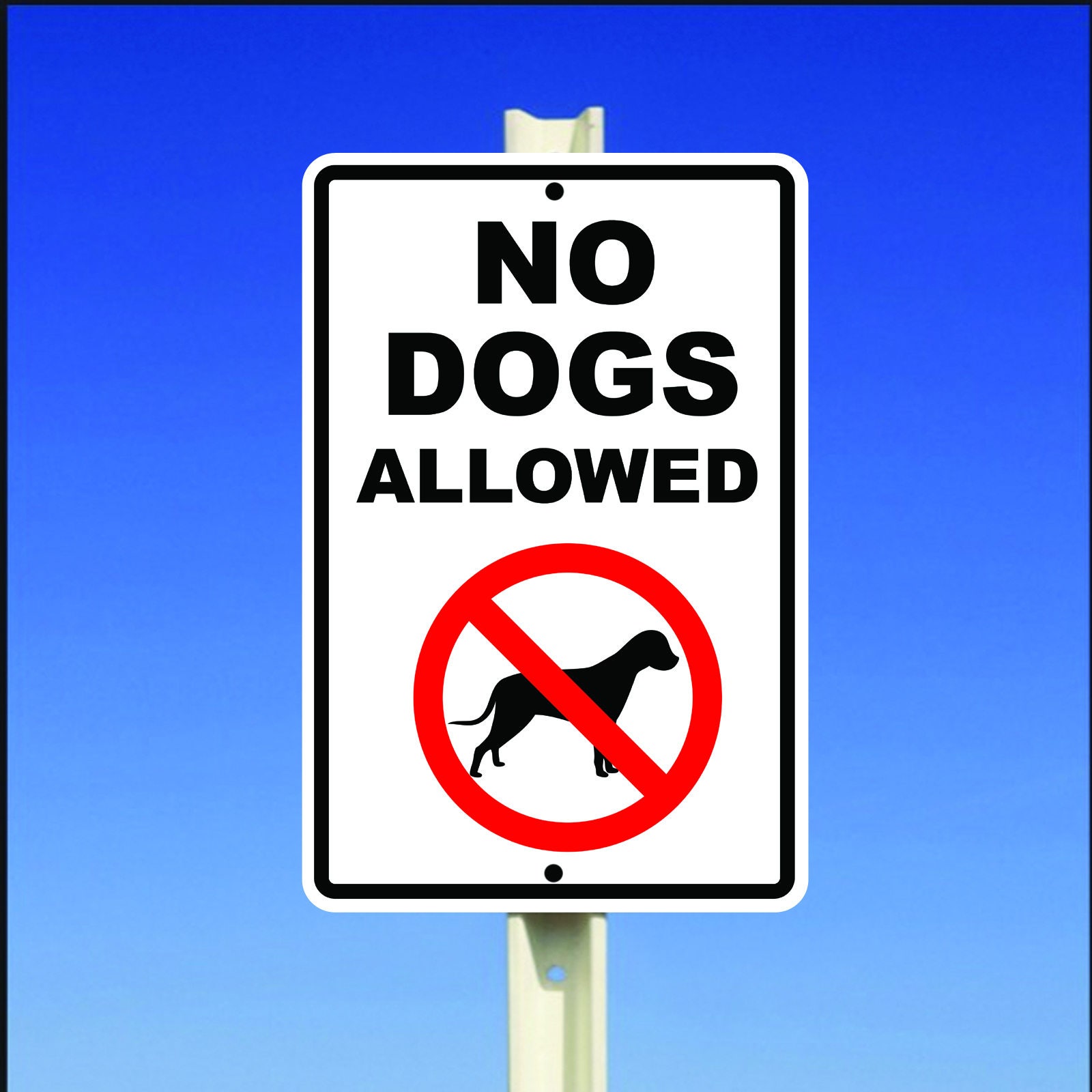 Warning No Dogs Allowed Aluminum Metal Sign