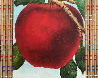 The Big Red Apple: Delicious Vintage Postcard, 1910