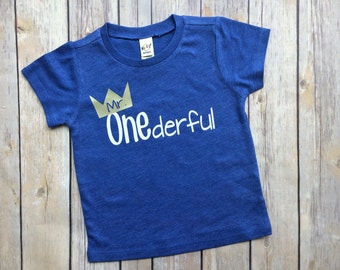 boy first birthday, mr onederful shirt, first birthday shirt, mr onederful, first birthday shirt boy, mr. onederful, boys first birthday