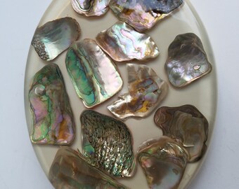 Design Gifts Oval Acrylic Trivet with Embedded Abalone Shell Pieces